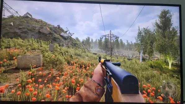 Using Gamma Mod for Better Visibility