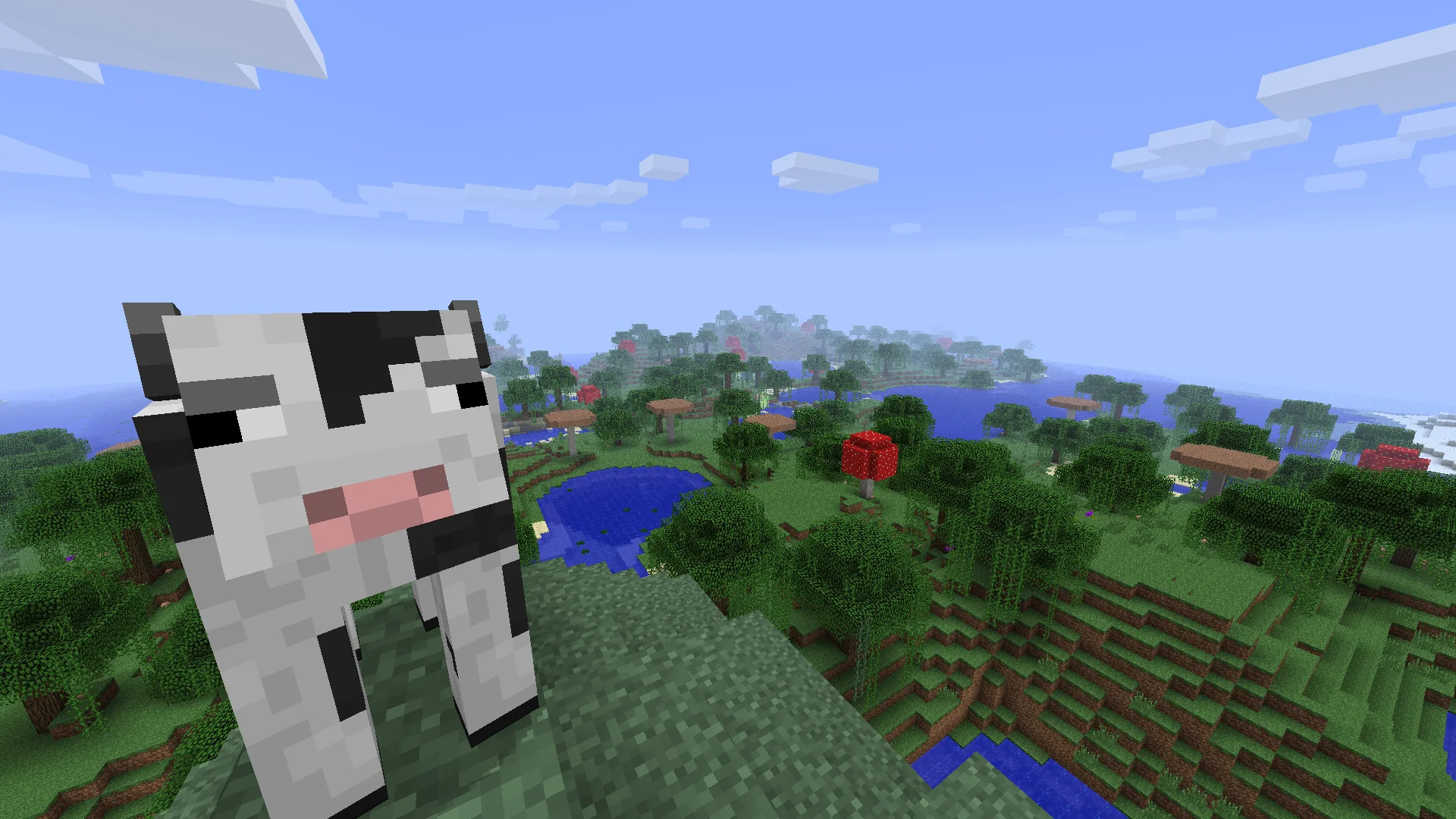 Minecraft world reference image